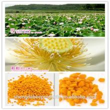 Natural organic bee pollen wholesale