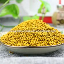 Best quality organic natural bulk pollen