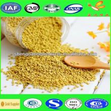 Best quality and hot sale pure natural rape pollen