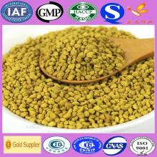 High purity yellow granule rape bee pollen for Korea