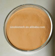 Green Tea Extract powder