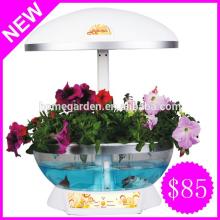 black pepper seeds flower pot