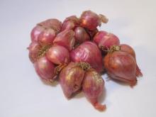  Small   onion 