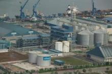 Selected Refined Soybean Oil
