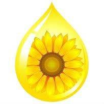 Refined  Rapeseed  Oil or Canola at best  price s