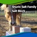 Salt Block
