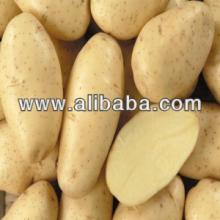 Spunta Potato