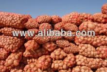 Fresh potato bulk