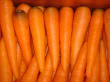 Fresh Carrots