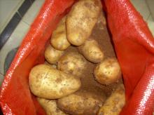 potatoes