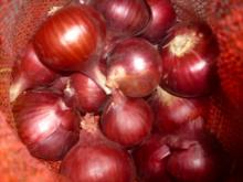 Red Onion