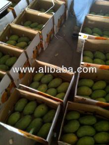 pakistani mangoes Exporter pakistani vegetables exporter