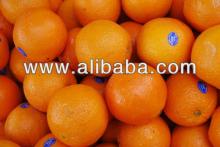  Fresh   Orange s/  Mandarin  /  Orange s Narangi Kinnow  Mandarin   Orange , Citrus Fruit from Pakistan Pakista
