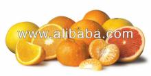 Mandarin Orange, Citrus Fruit from Pakistan