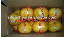 2013 new fresh honey pomelo