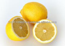 indian Fresh Lemon for sales