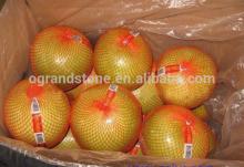 2014 fujian wholesale fresh pomelo fruit fresh honey pomelo