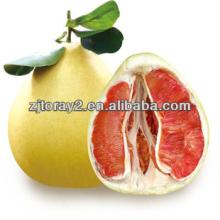 2014 Wholesale fresh fruit and fresh oranges grapefruit