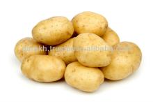 Indian Fresh Potato