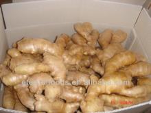 china air dried ginger