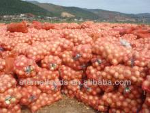 Fresh Onion for sales