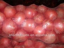 Sales China fresh onion