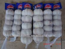 new normal white garlic