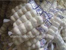 Chinese Jinxiang Garlic