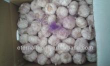 export china garic