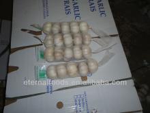 5P garlic for cartons packing