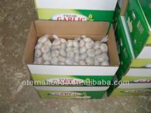 Normal white garlic 1kg packing
