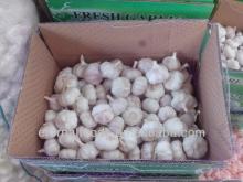 new normal white garlic 10kg packing