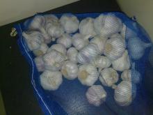pure white garlic for box packing
