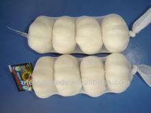 Sales garlic from china garlic producer