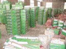 Sales chinese fresh garlic from garlic producer