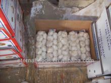 Sales chinese fresh garlic from garlic factory
