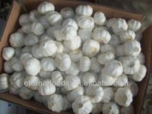chinese pure white garlic packing 10kg