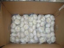 Sales Pure white garlic from china garlic producer