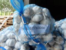 new fresh garlic from china garlic factory