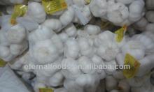 Pure White Garlic 6.0cm up 500g*20 10kg ctns