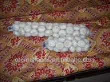 Chinese Fresh Braids Garlic