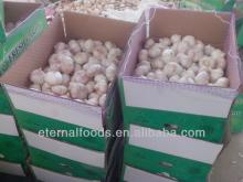 expot brazil  garlic  into  10kg   box 