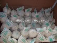 Chinese Fresh White Garlic