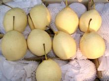Ya pear