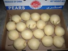 China Ya pear