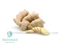 fresh ginger