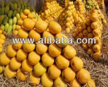 Pakistani Best Quality Mangoes