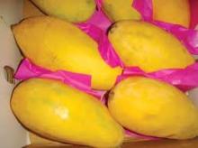 SUPER MANGO