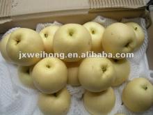 2012 fresh Ya pear