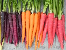 Egyptian Fresh Carrots